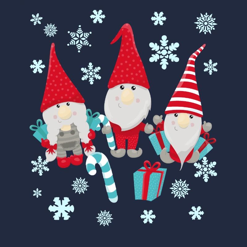 Cute Gnomes Christmas Present Present Idea