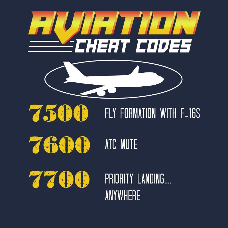 Aviation Cheat Codes Geschenk, Aviation Geschenk,