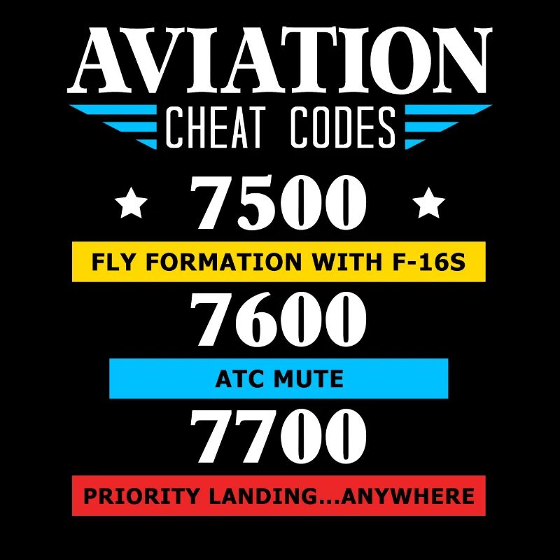 Aviation Cheat Codes gift, Aviation gift,