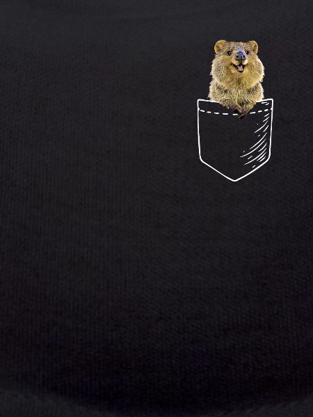 Quokka
