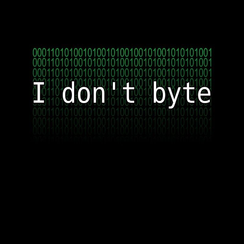programmer
