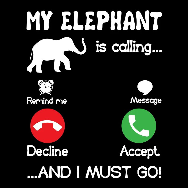 Éléphant que mon éléphant appelle