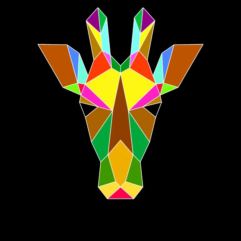 Giraffengeometrie