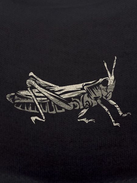 Large swamp locust