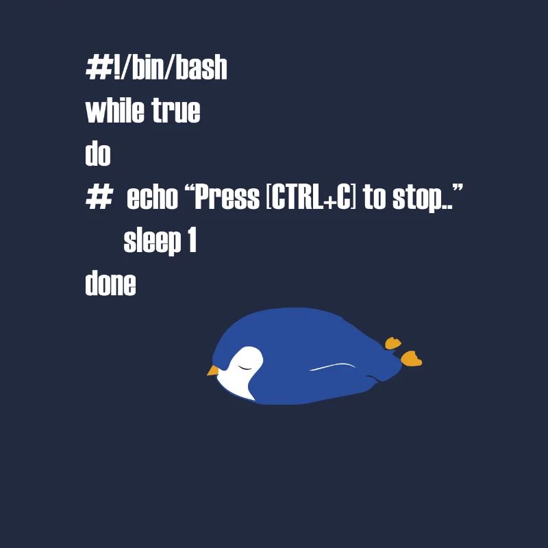 Cadeau drôle d'informaticien programmeur Linux