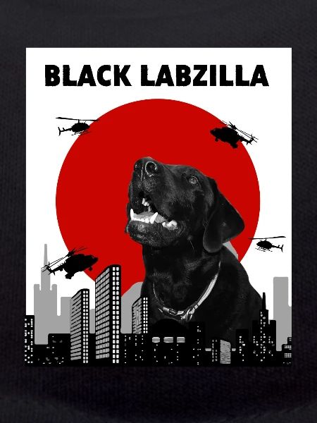 Labrador