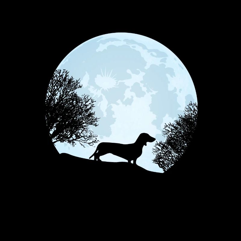 dachshund