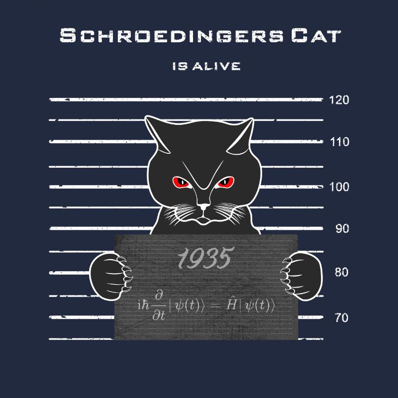 Schrödinger's cat lives/ Schrödinger formula