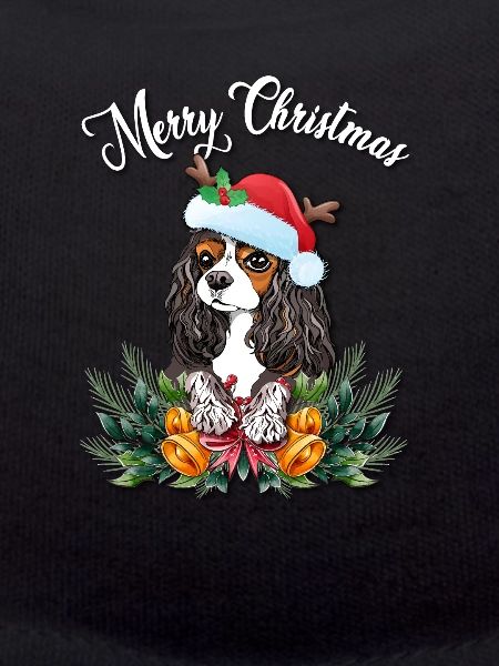 Cavalier King Charles Spaniel