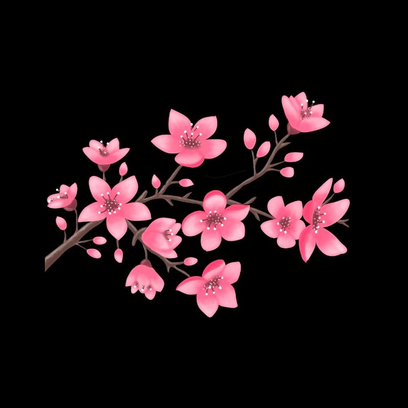 Cherry blossoms