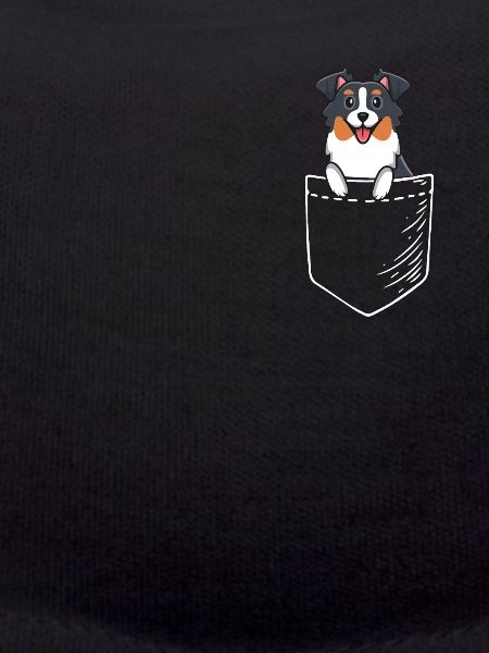 Australian Shepherd