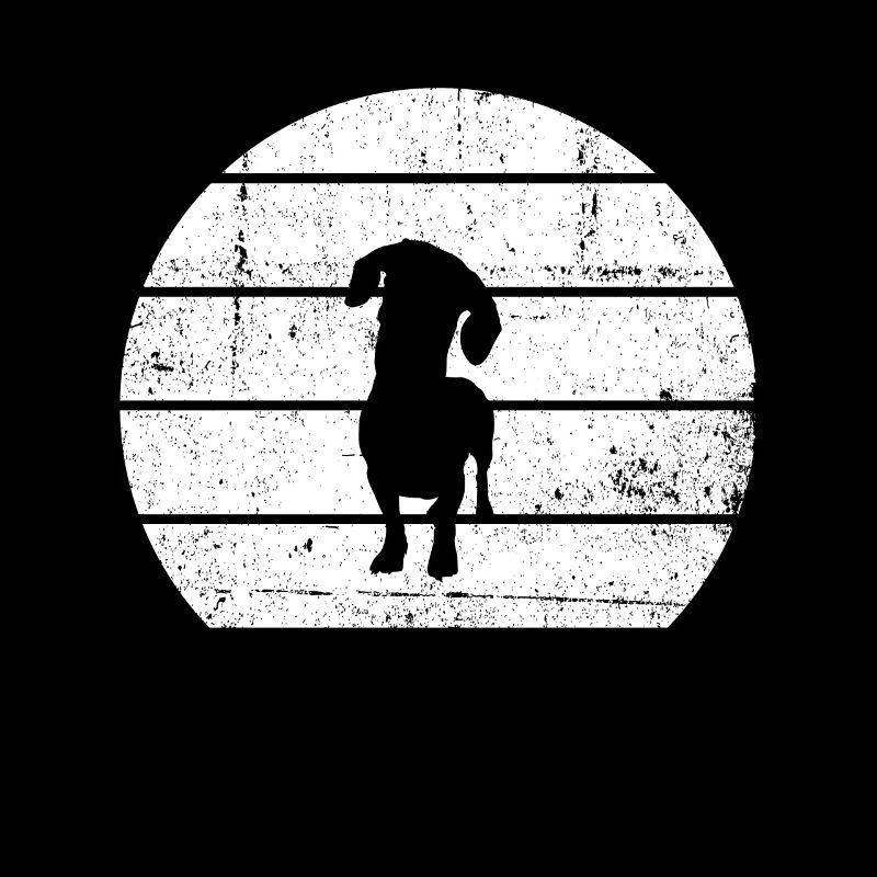Dackel Dachshund Teckel