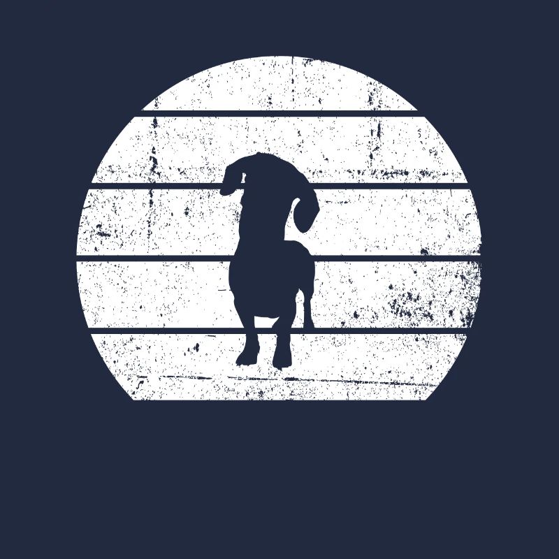 Teckel Chien de toit Teckel
