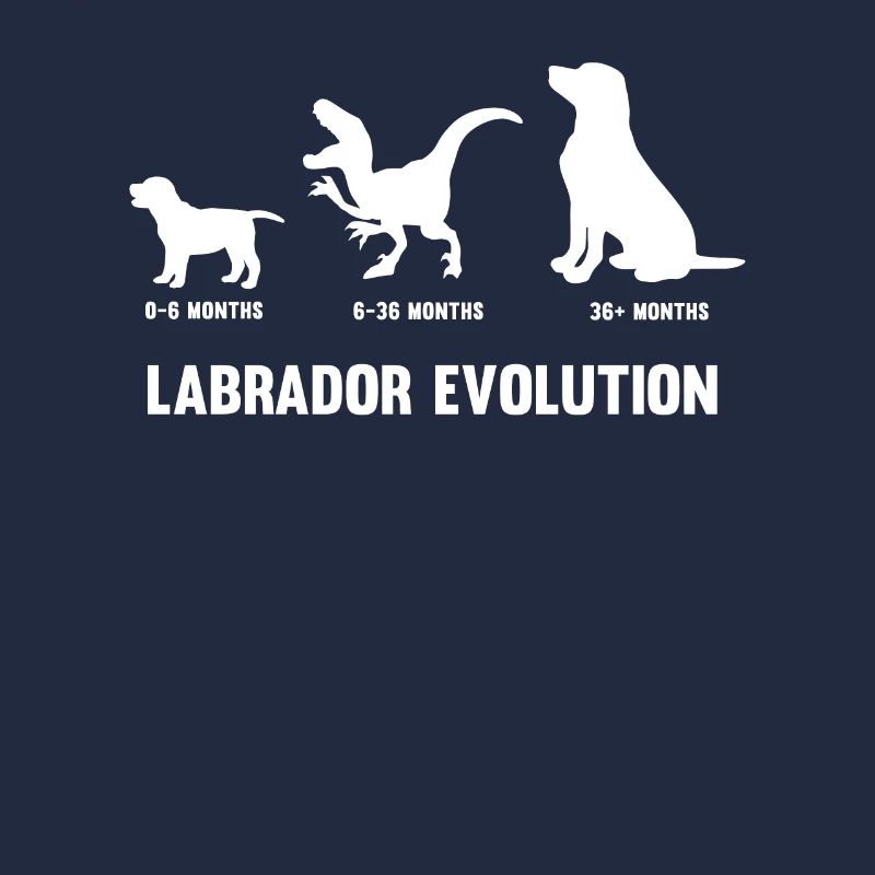 Labrador Evolution pour un propriétaire de chien Labrador