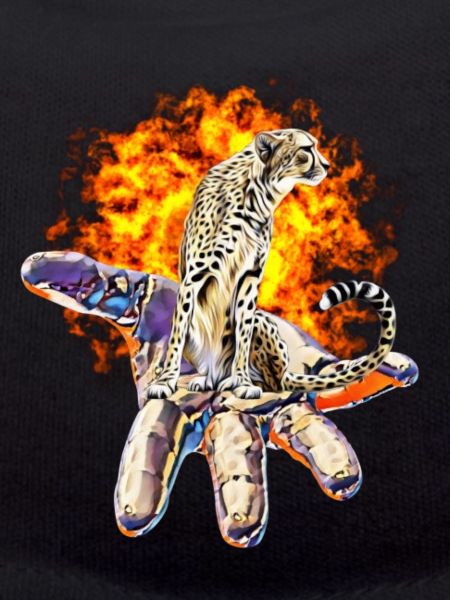 Gepard