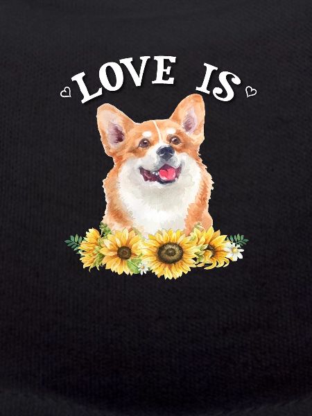 Corgi