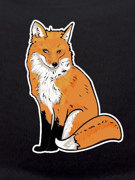 Fox Illustration