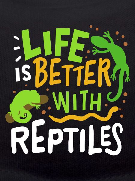 Reptile lizard