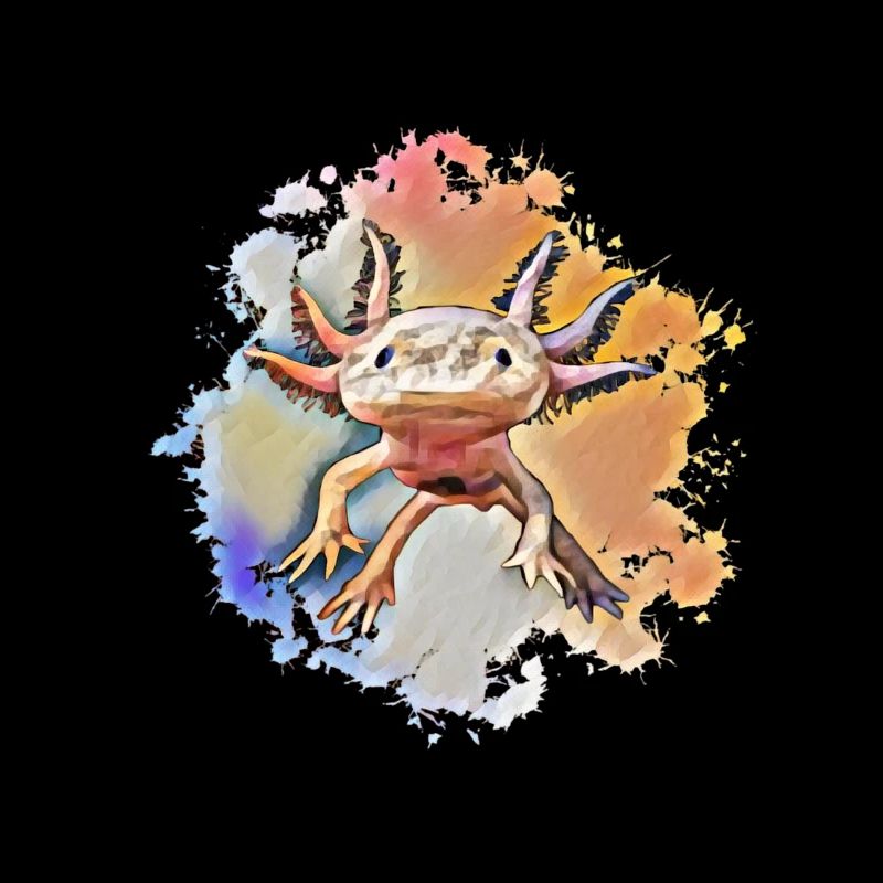 Axolotl