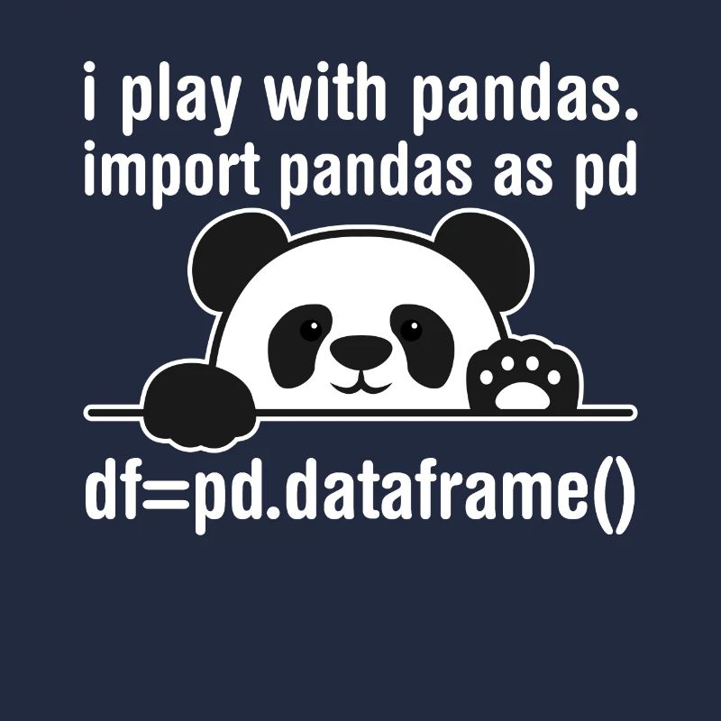 Python Programmierer IT Nerd Panda Programmierung