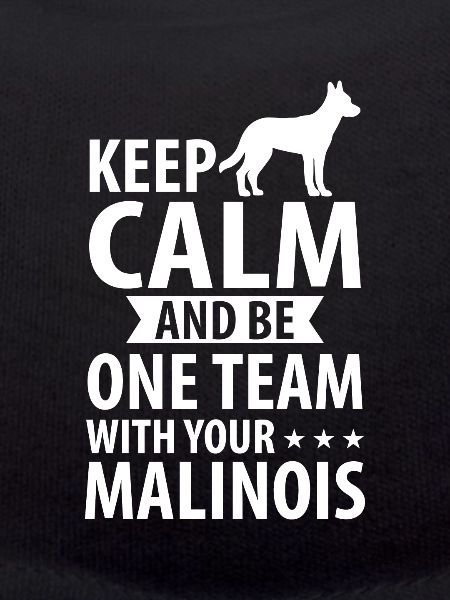 Belgian Malinois dog sheepdog