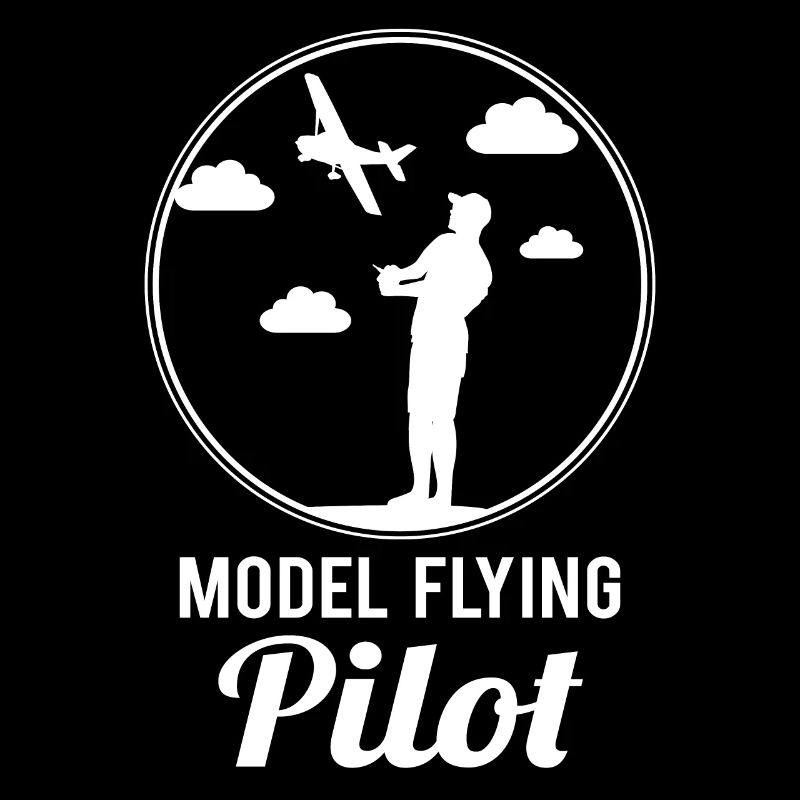 Model airplane pilot modeler airplane gift