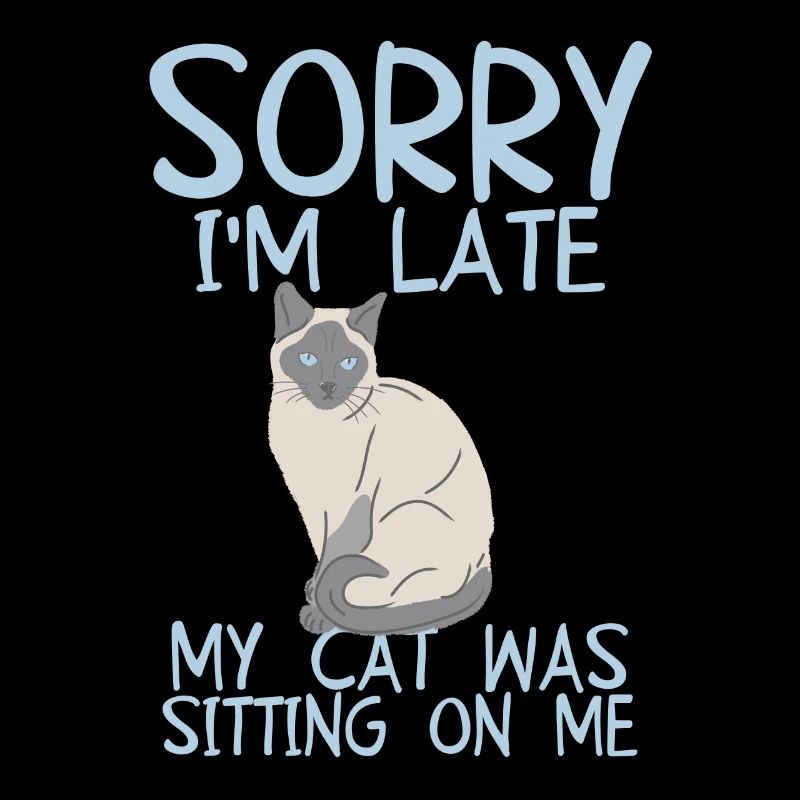 Désolé je suis en retard, mon chat était assis sur moi