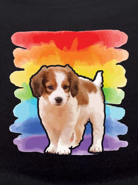 Chiot kooikerhondje