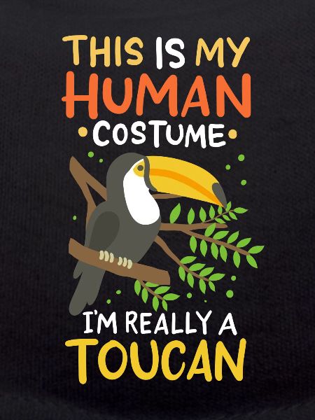 Toucans Toucan Lovers