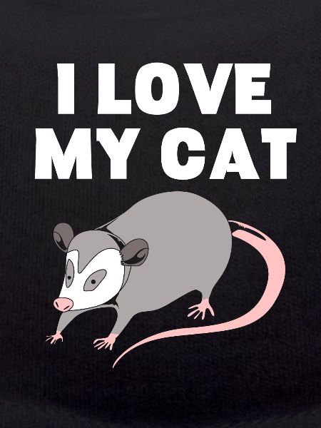 possum