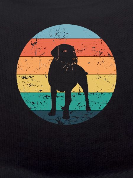 Labrador dog friend