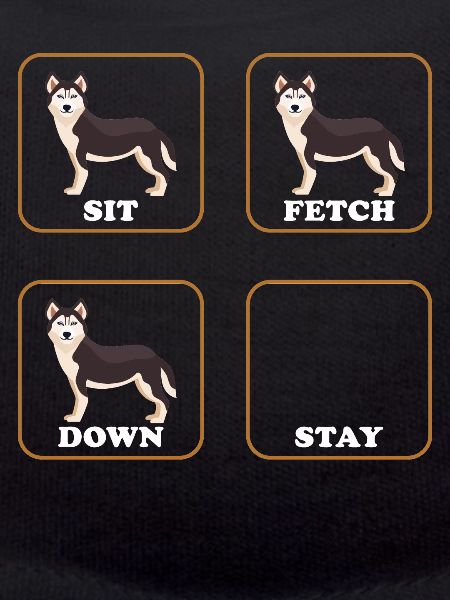 Husky dog