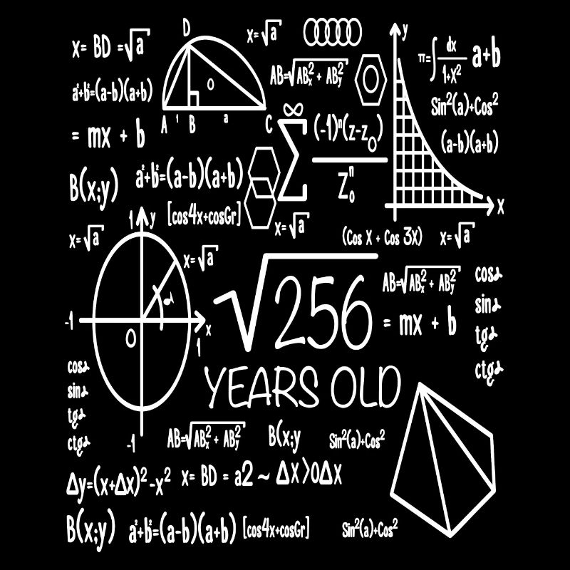 16th birthday mathematics school kids gift