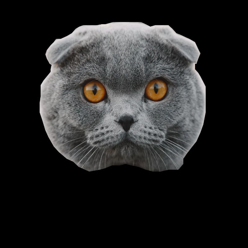 chat