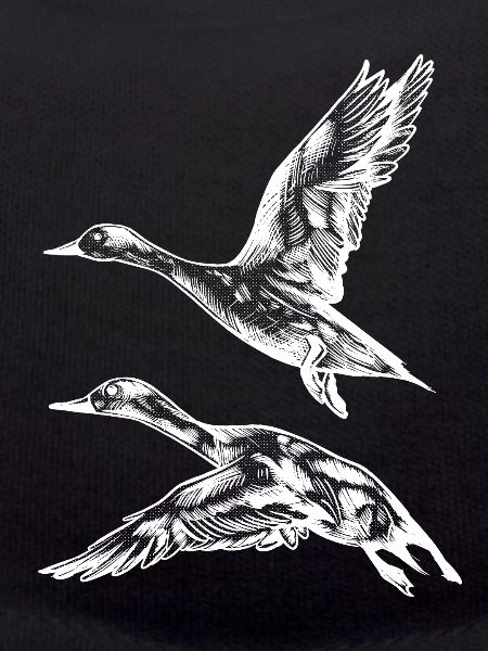 Flight duck