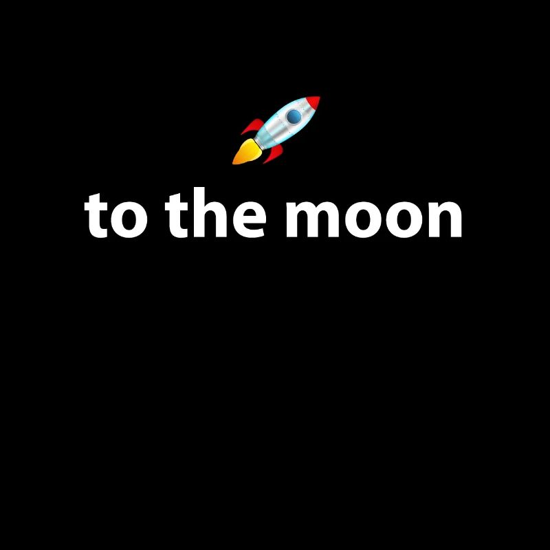 To the Moon Rakete R/wsb