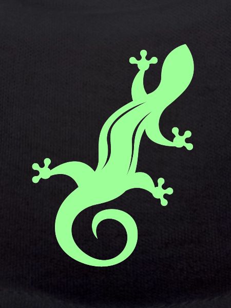 lizard