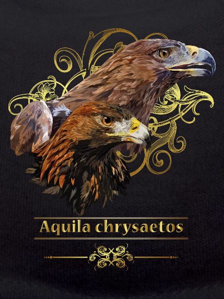 golden eagle