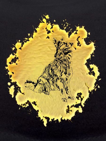 Chien de berger