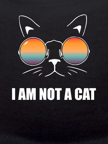 Funny Meme for jeg er ikke en kat