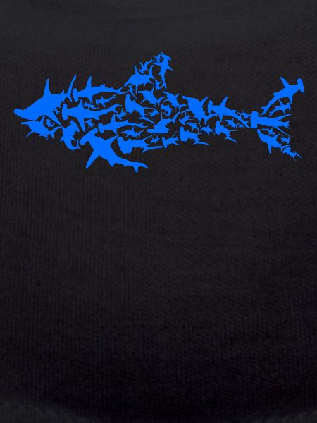Requin requin