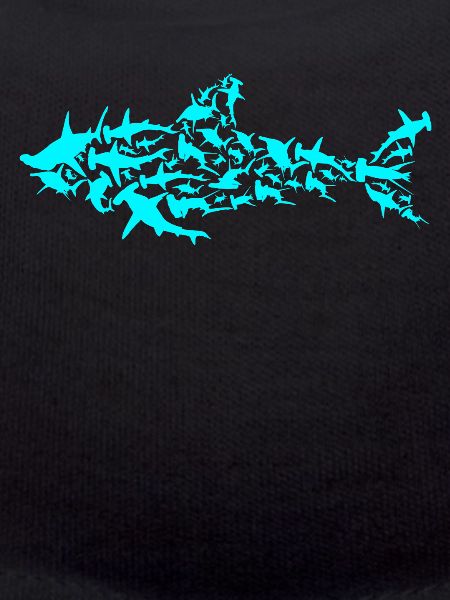 Shark shark