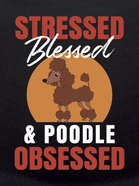 Pudel Poodle