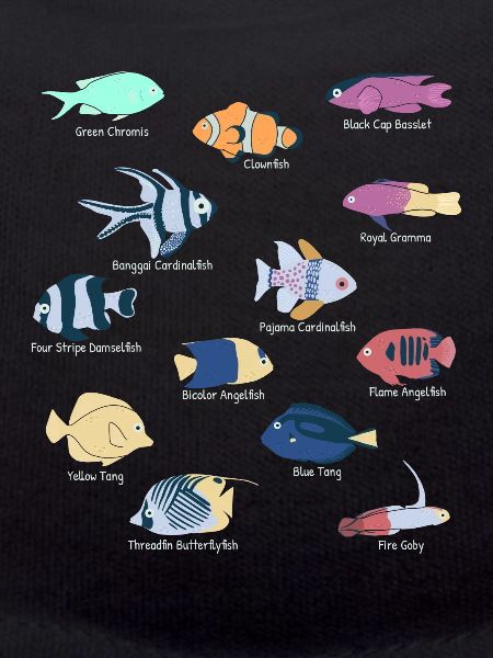 Saltwater aquarium tropical fish