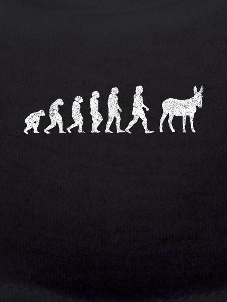 Esel Maultiere Maultier Mulis Evolution