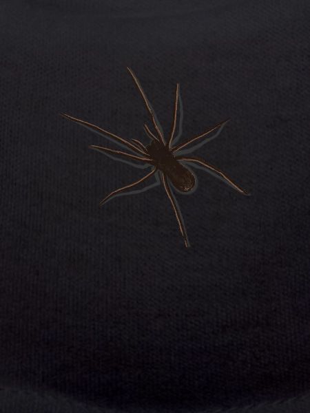 Spinne 3D
