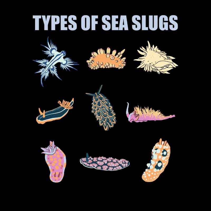 sea snails slug ocean animals