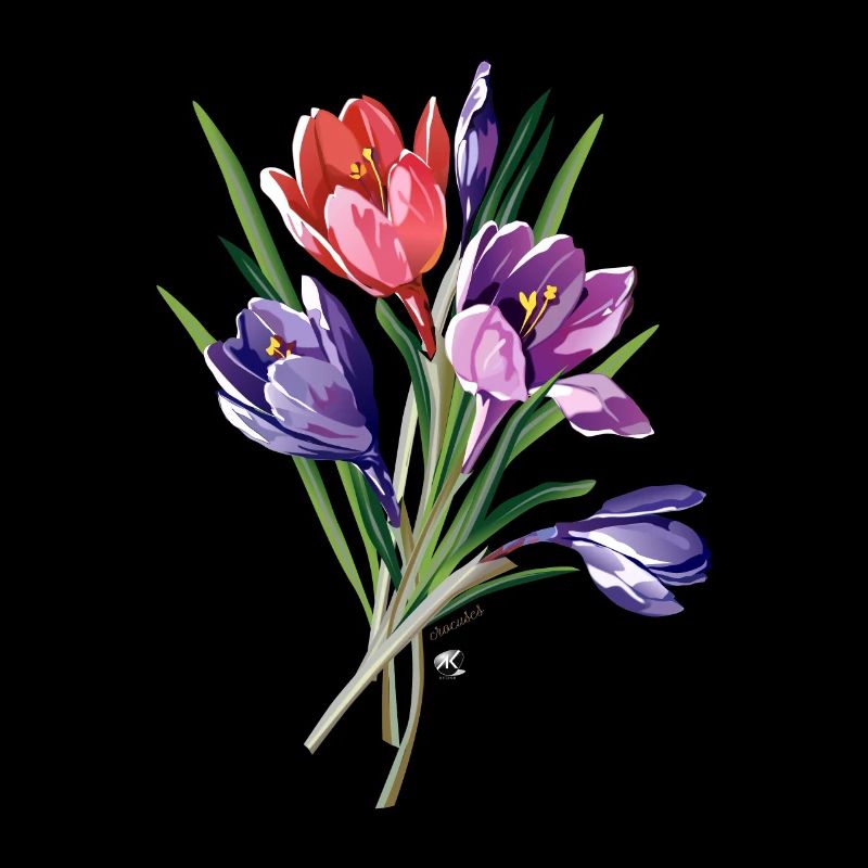 Krokusse Abbildung
