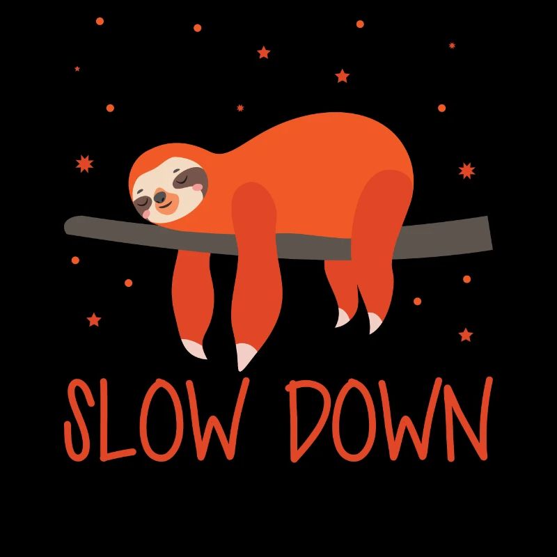 Sloth Slow Down