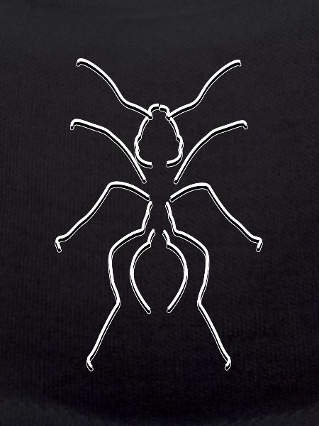 Fourmis lignes